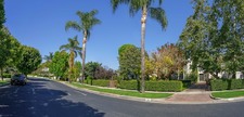 Enlarge photo 82