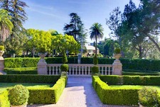 Enlarge photo 13