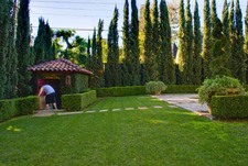 Enlarge photo 107
