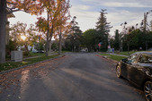 Enlarge photo 152