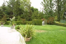 Enlarge photo 63