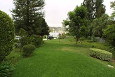 Enlarge photo 67