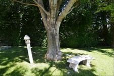 Enlarge photo 48