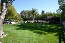 Enlarge photo 54