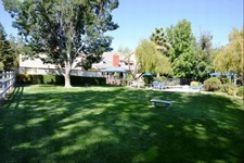 Enlarge photo 55