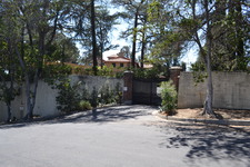 Paramour Estate