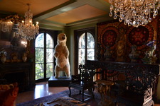 Enlarge photo 45