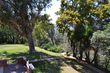 Enlarge photo 73
