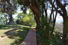 Enlarge photo 107