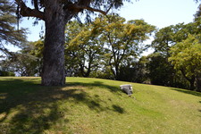 Enlarge photo 111