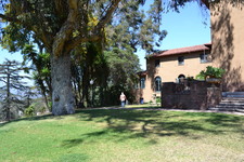 Enlarge photo 116