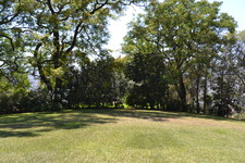 Enlarge photo 117