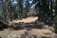 Enlarge photo 119