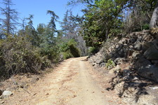 Enlarge photo 121
