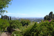 Enlarge photo 125