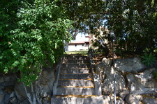 Enlarge photo 130
