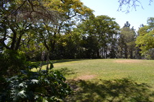 Enlarge photo 133