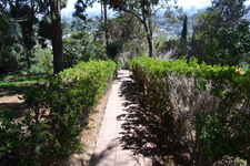 Enlarge photo 135