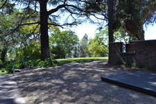 Enlarge photo 137