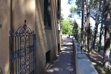 Enlarge photo 139