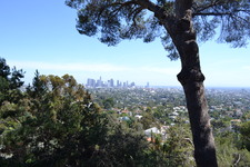 Enlarge photo 145