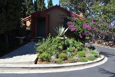 Enlarge photo 159