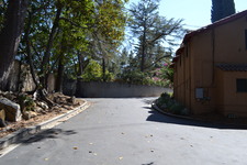 Enlarge photo 160