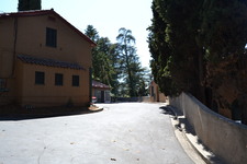 Enlarge photo 161