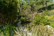 Enlarge photo 103