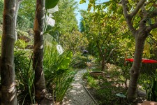 Enlarge photo 104