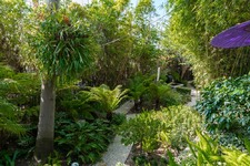 Enlarge photo 107