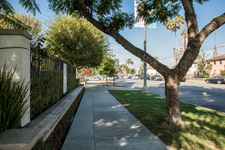Enlarge photo 124