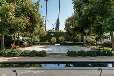 Enlarge photo 82
