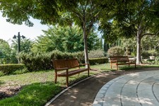 Enlarge photo 84