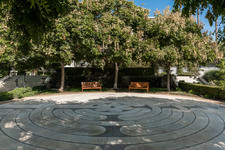 Enlarge photo 85