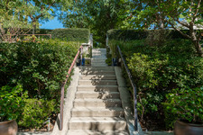 Enlarge photo 99