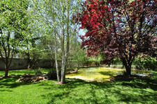 Enlarge photo 74