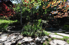Enlarge photo 79