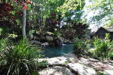 Enlarge photo 82