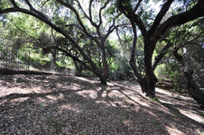 Enlarge photo 90