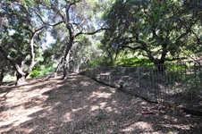 Enlarge photo 91