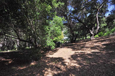 Enlarge photo 92