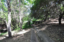 Enlarge photo 93