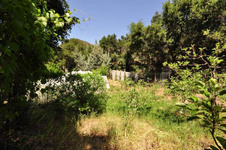 Enlarge photo 98