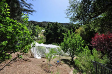 Enlarge photo 102