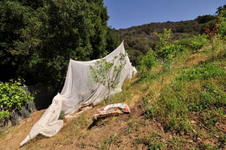 Enlarge photo 104
