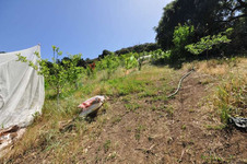 Enlarge photo 105