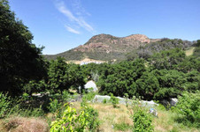 Enlarge photo 106