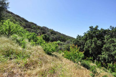 Enlarge photo 107