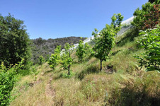 Enlarge photo 108